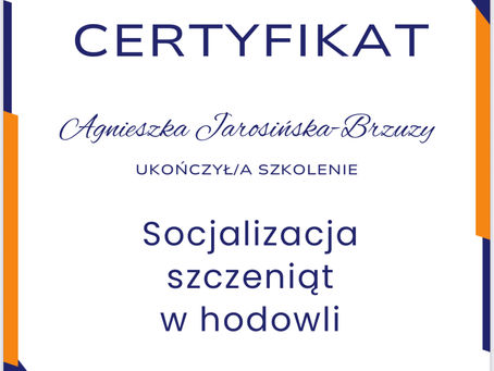 Szkolimy się🙂