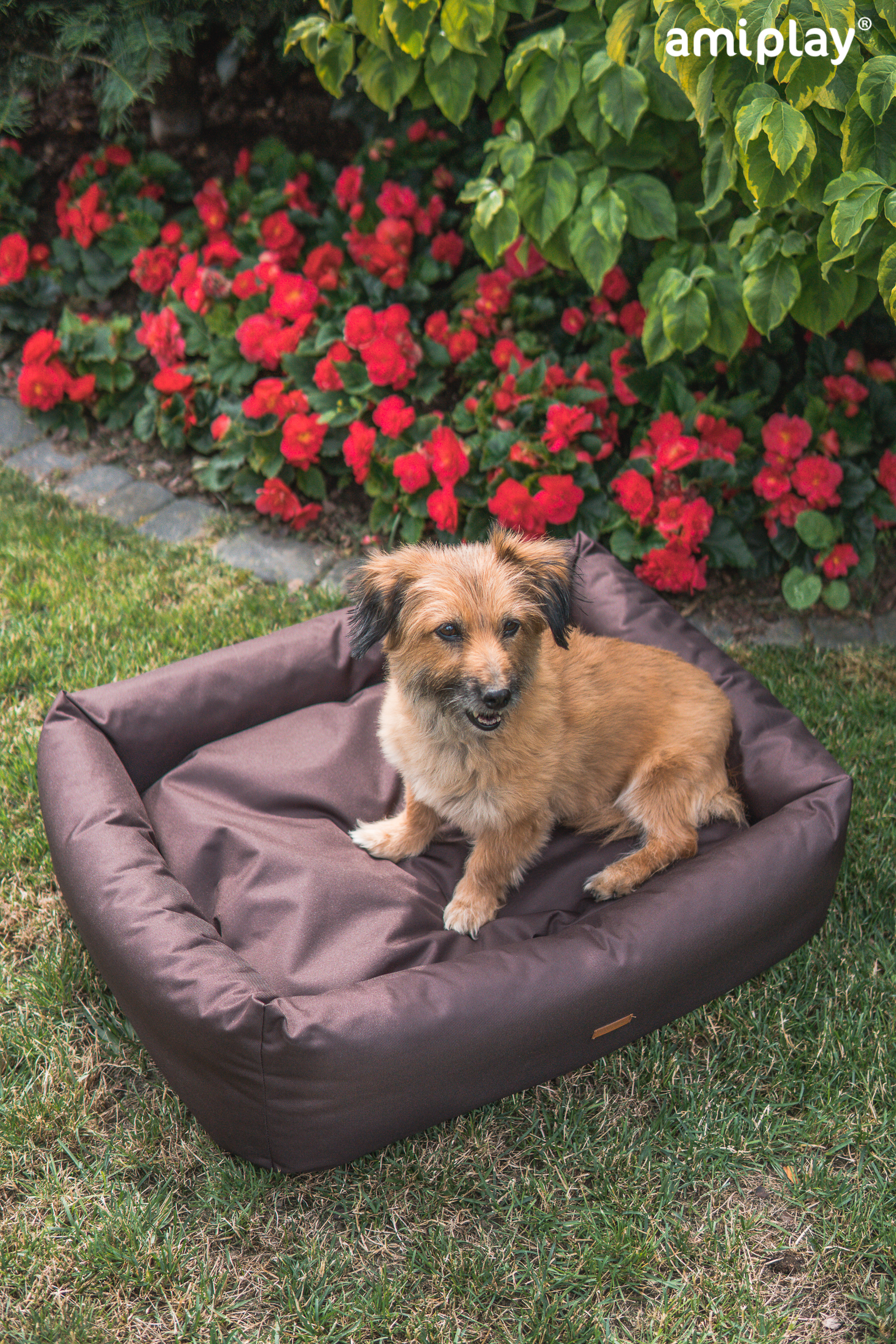 country-Cama impermeable 2.jpg