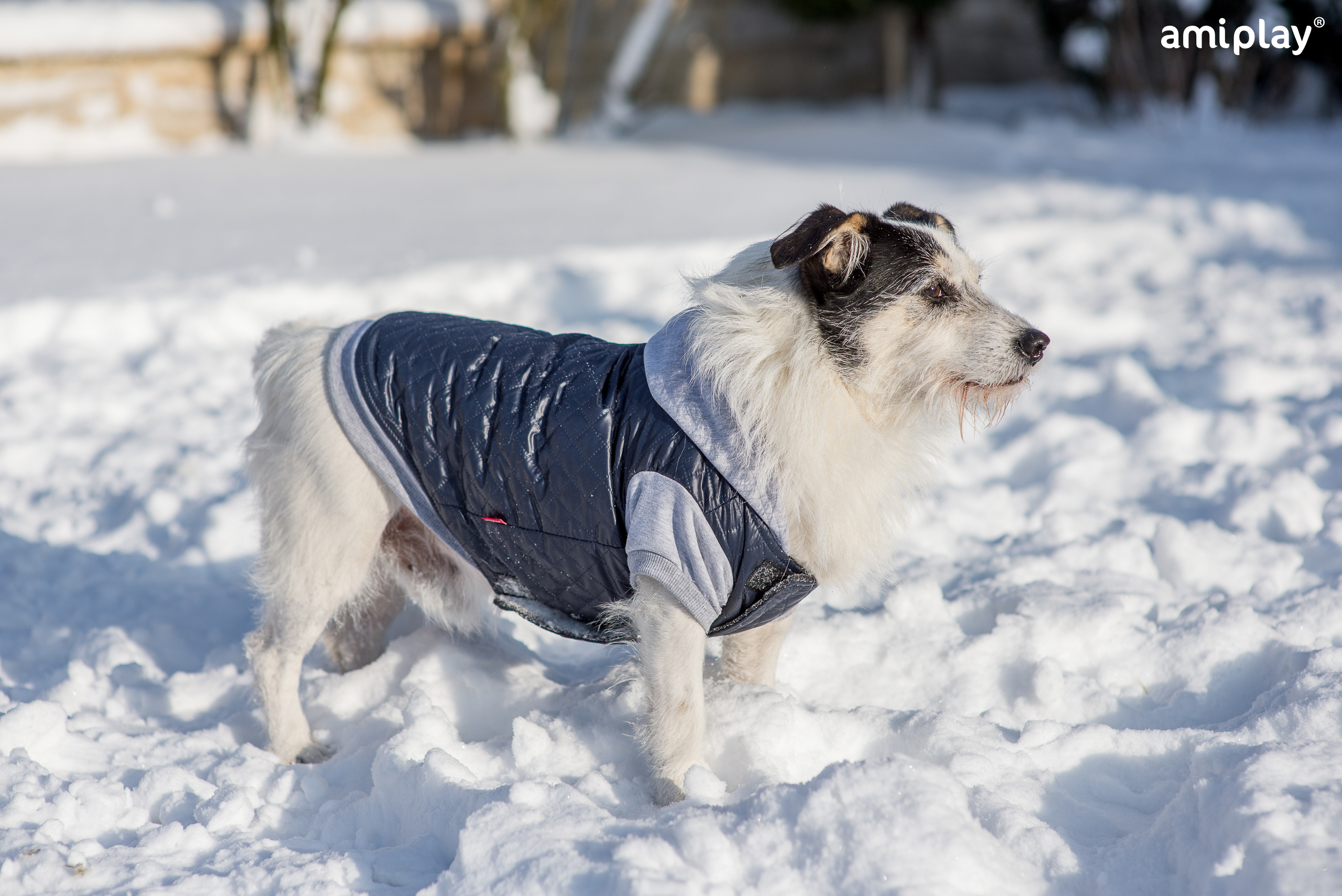 Chaqueta capucha 3.jpg