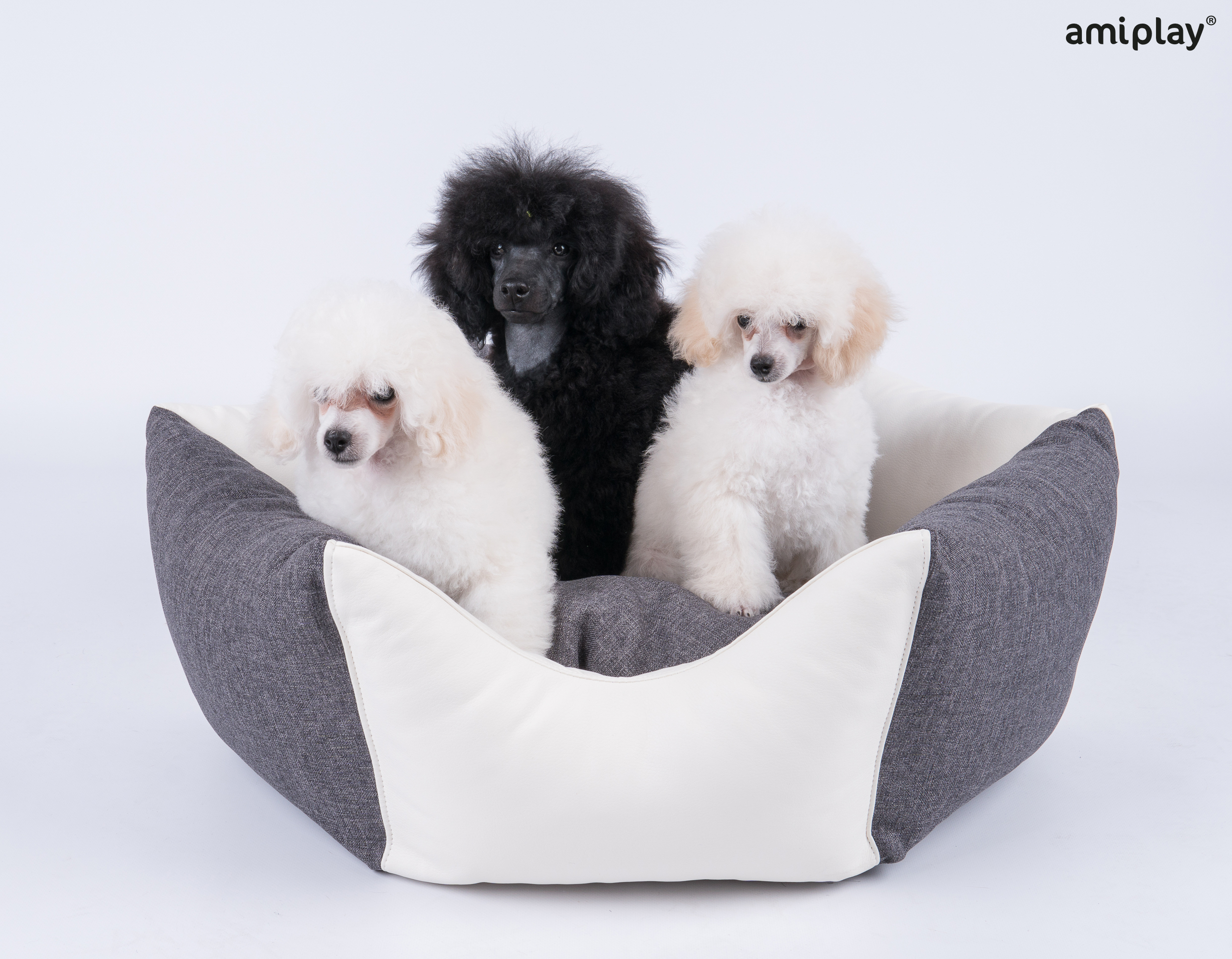 classic-Corona 1.jpg