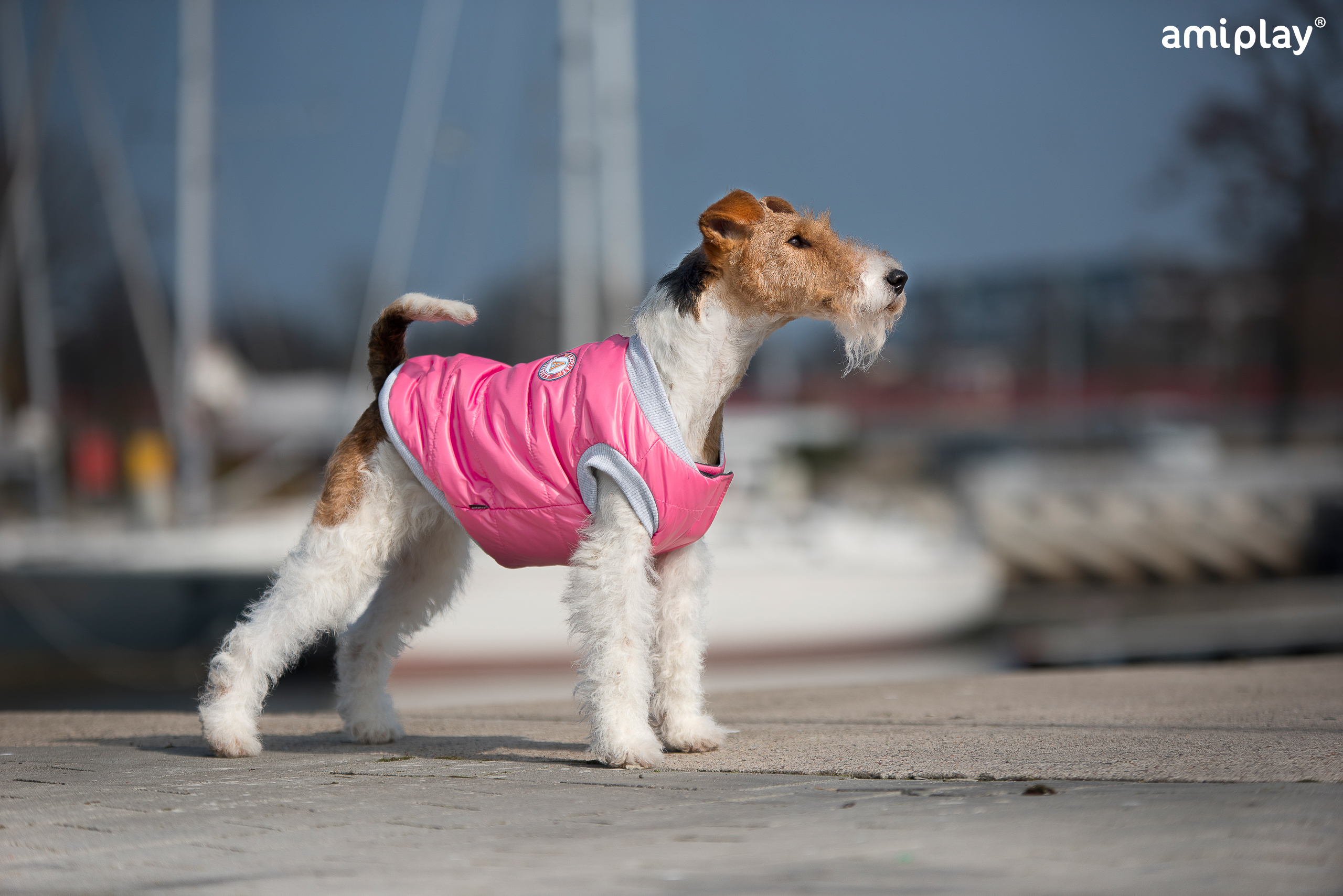 Chaqueta.jpg