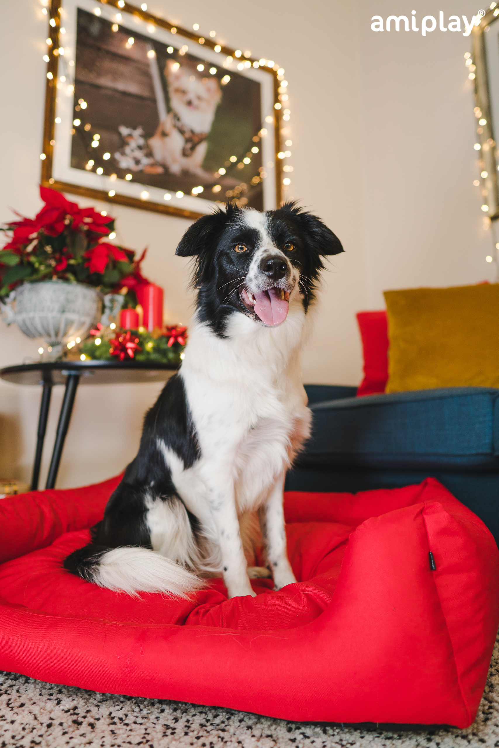 basic-Sofa2.jpg