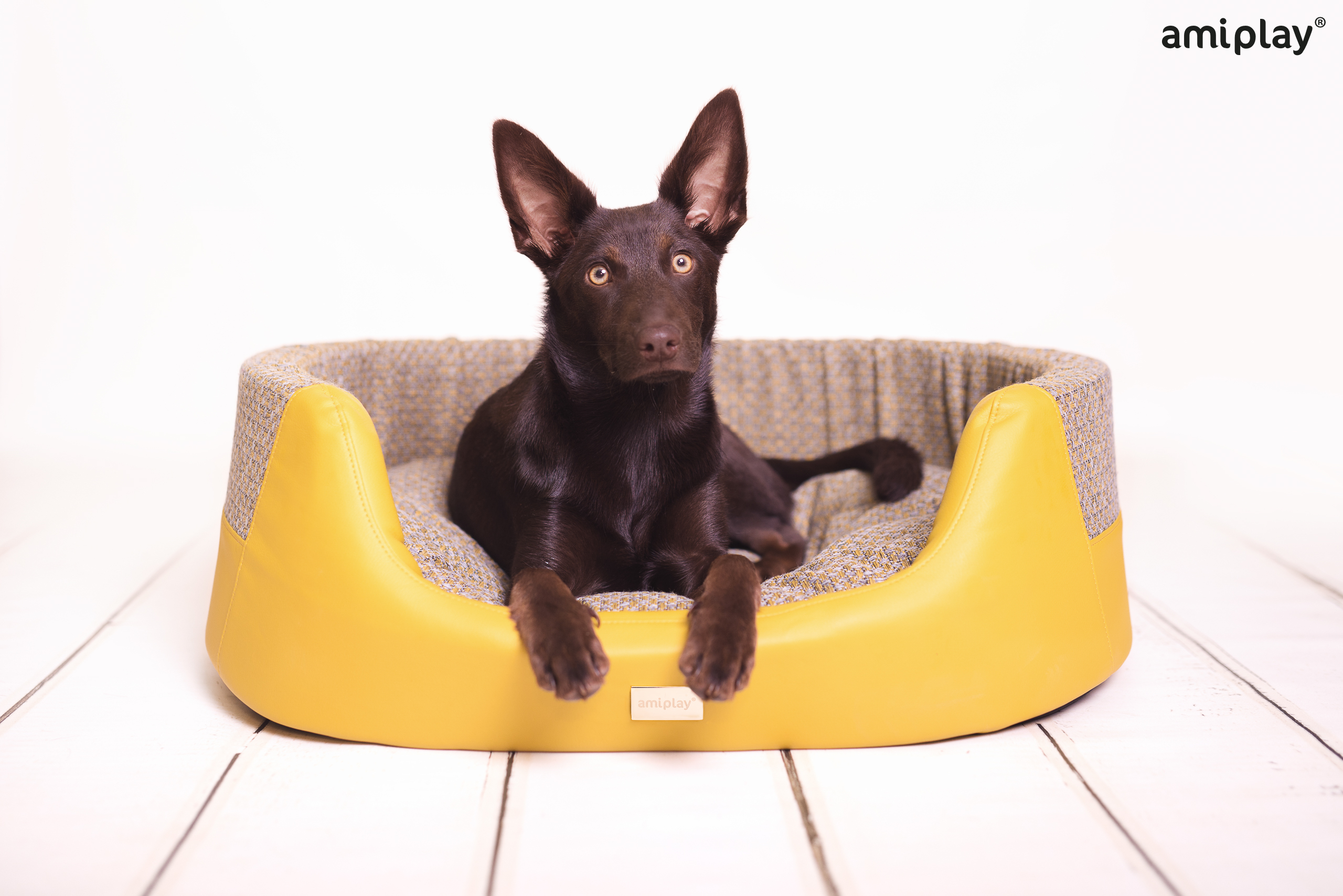 morgan-Cama Elipse .jpg