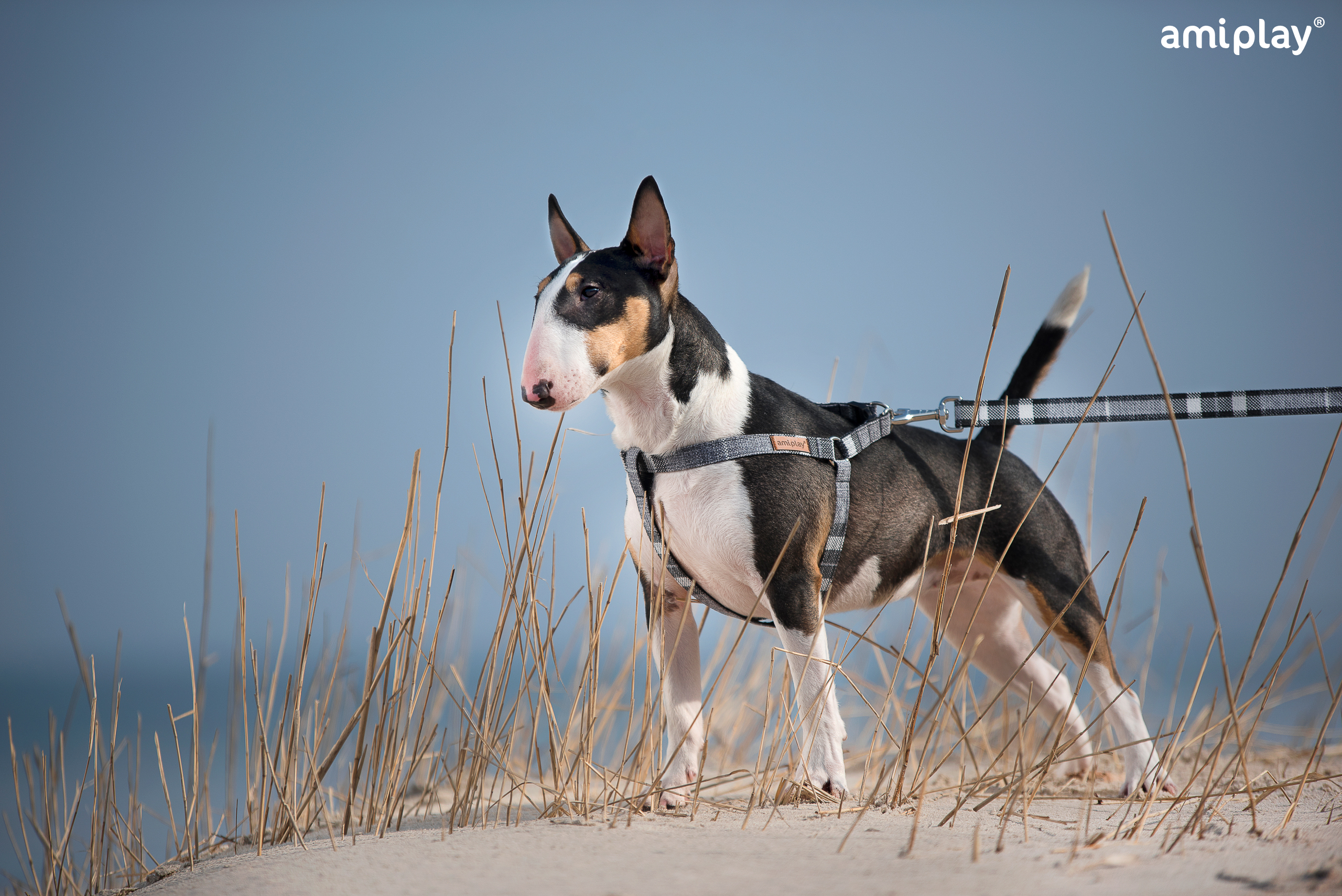 London foto principal .jpg