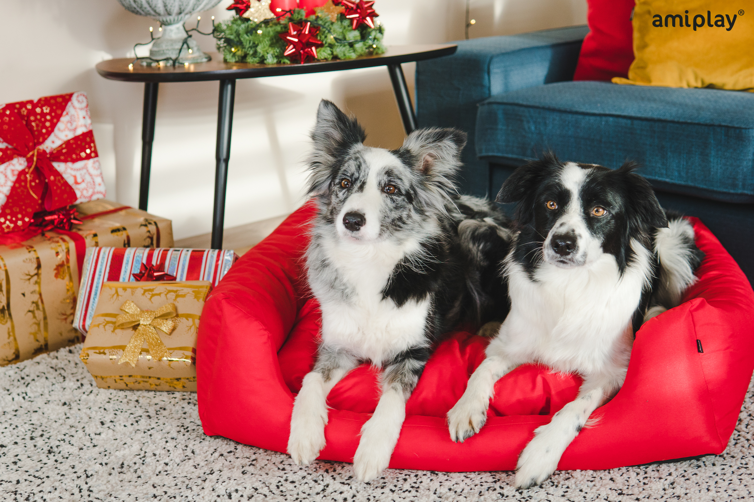 basic-Sofa.jpg