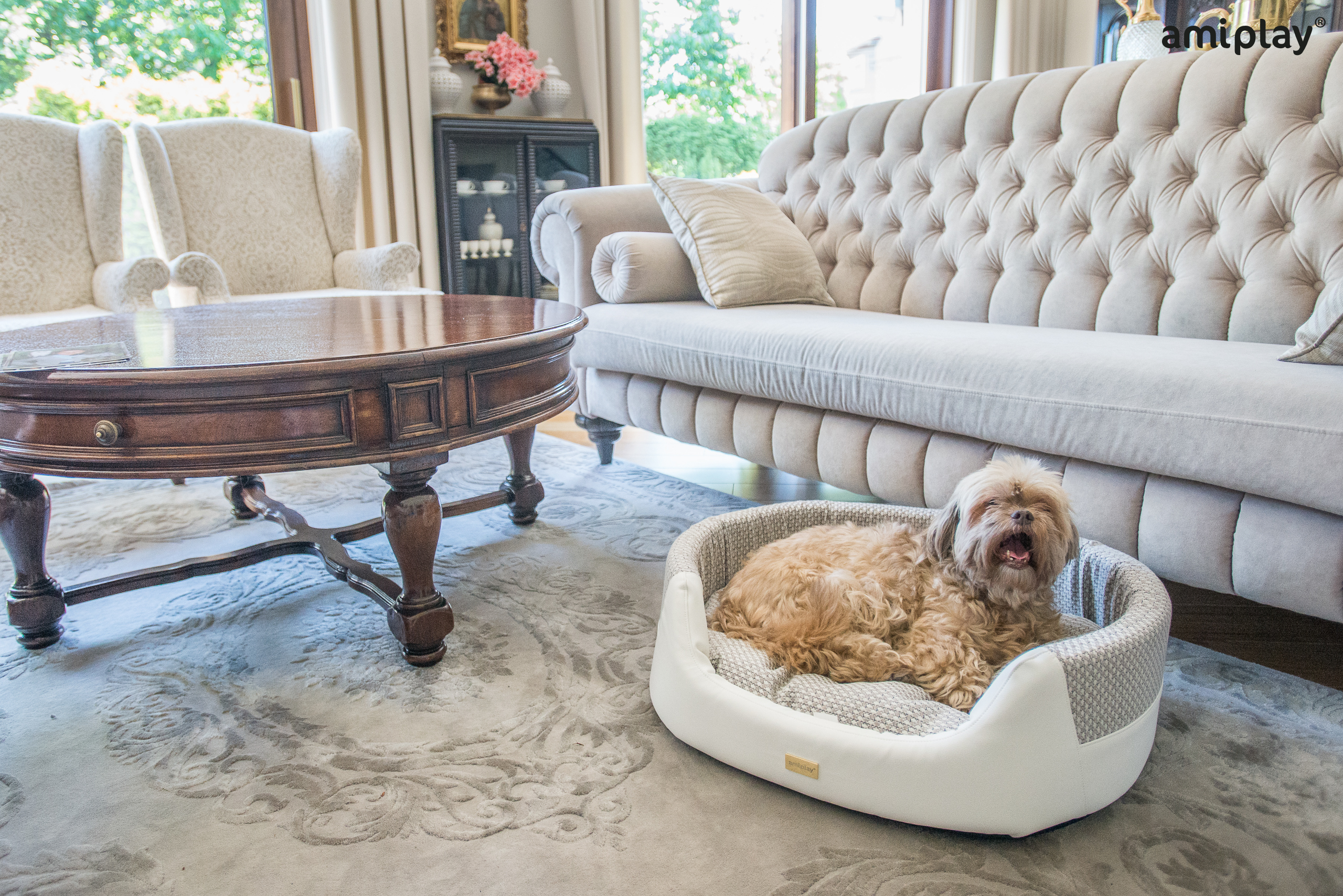 morgan-Cama Elipse 2.jpg