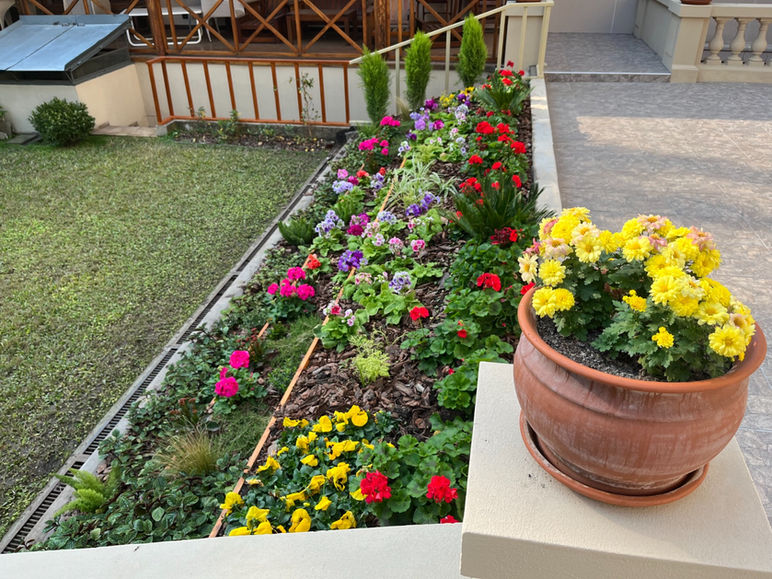 Mantenimiento de jardines y paisajismo