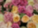 old fashined roses.jpg