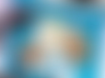 Quem deve pagar o IPTU nos imóveis locados?