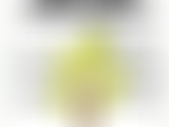 Sector Risk Monthly - Medio Ambiente