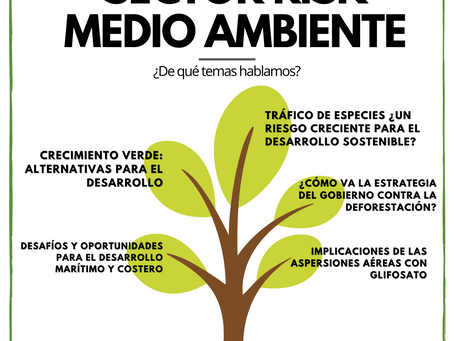 Sector Risk Monthly - Medio Ambiente
