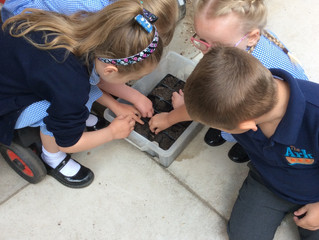 Planting seeds!