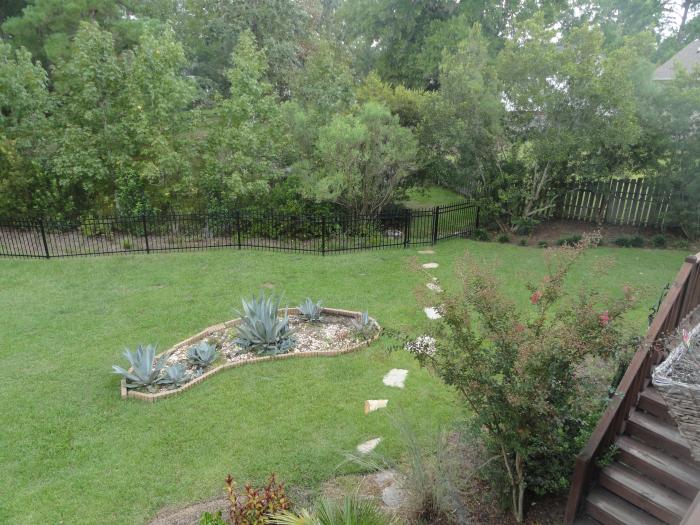 Pretty landscaping
