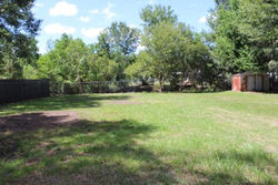back yard 1