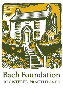 Logo Bachcenter.webp