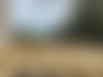 New flat roof in burry st edmonds Sarnafil membrane