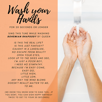 Wash your hands.png