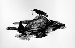 IMG_5031.jpeg