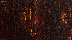 Charred_P