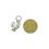Thumbnail: Pendant chrysanthotrichum allolentum