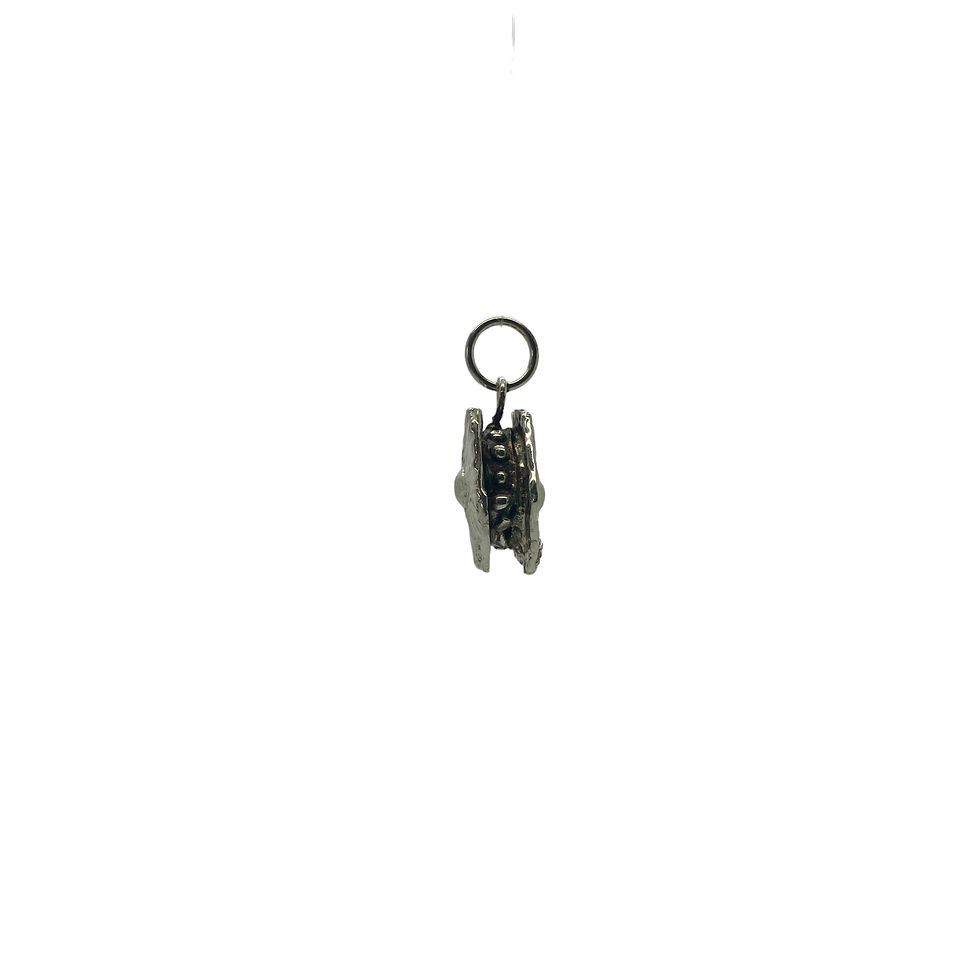 Thumbnail: Pendant Neosartorya