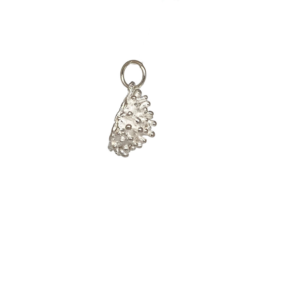 Thumbnail: Pendant Aspergillus