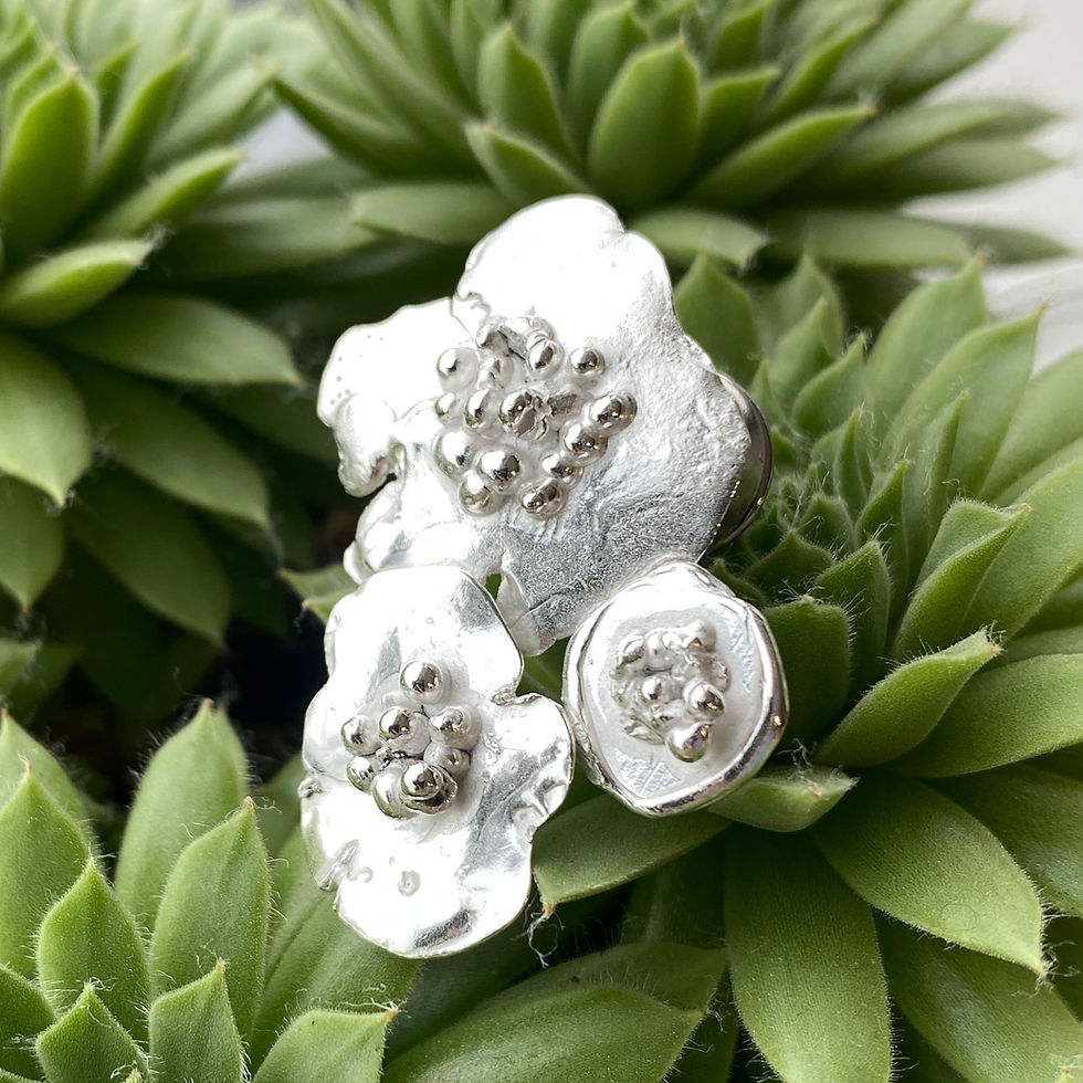 Thumbnail: Aspergillus  broche