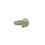 Thumbnail: Ring Aspergillus levis poris