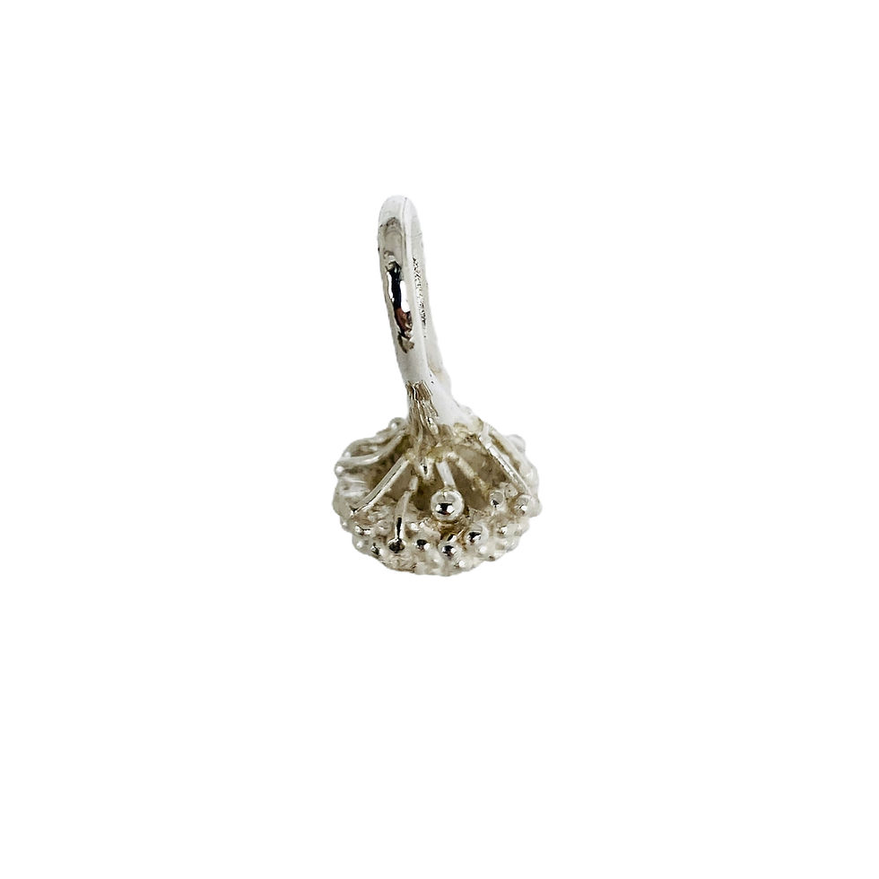Thumbnail: Pendant aspergillus