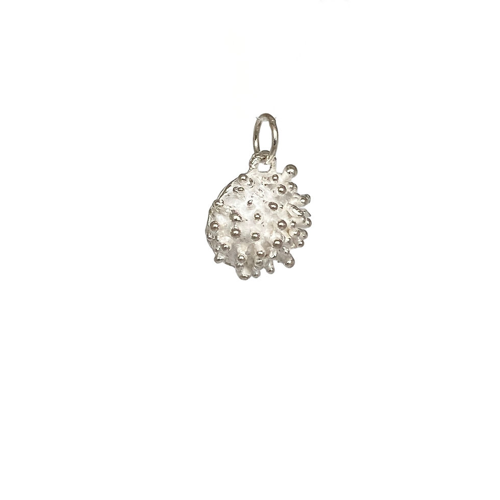 Thumbnail: Pendant Aspergillus