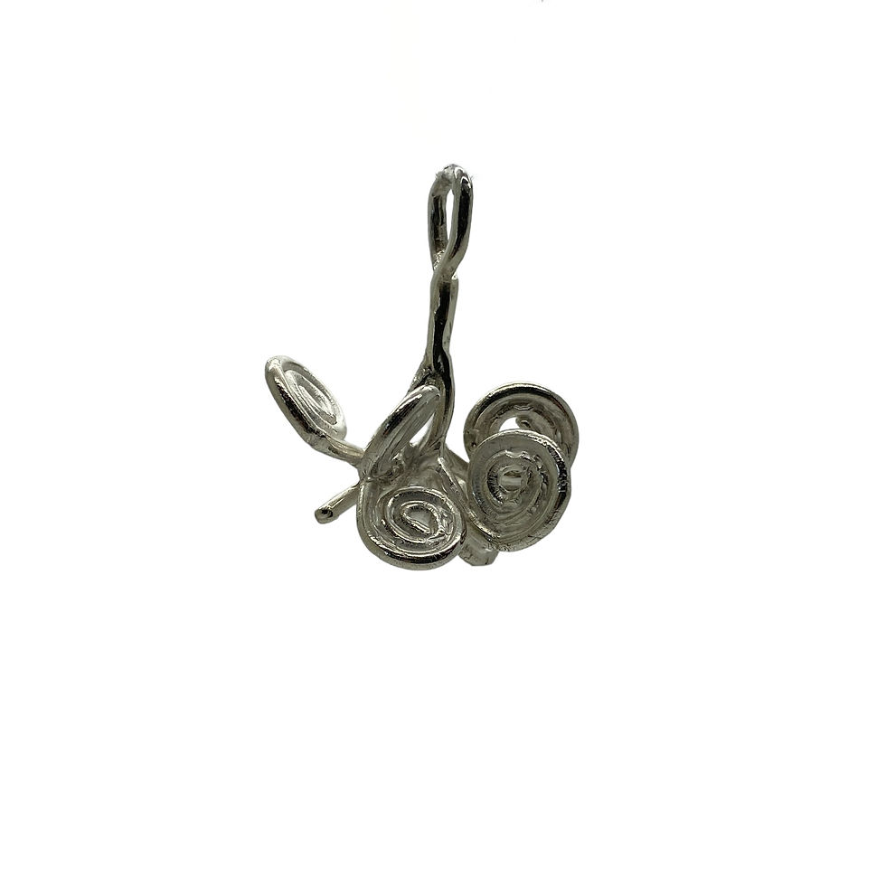 Thumbnail: Pendant Helocosporium Phragmites