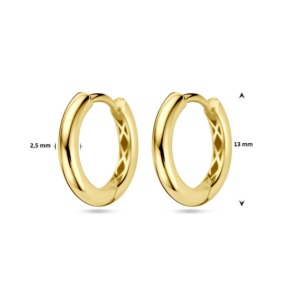 Thumbnail: Prachtige gouden oorringen met schanier