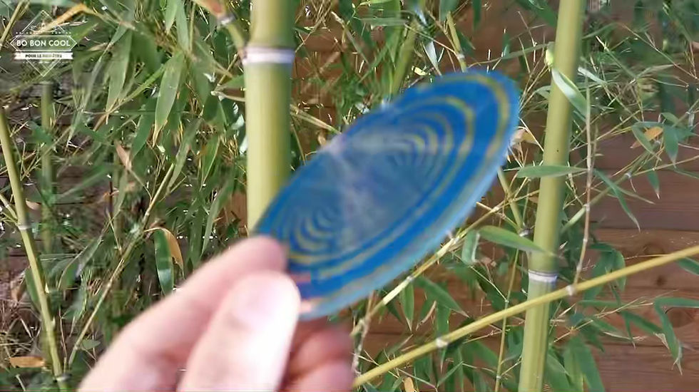 Miniature : Disque Lakhovsky