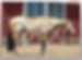 Thumbnail: Pandemic APHA