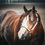 Thumbnail: My Sleepy Valentine AQHA