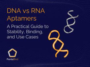 DNA vs RNA Aptamers: A Practical Guide to Stability, Binding, and Use Cases