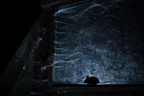 Behind-the-window8.jpg