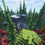 Thumbnail: Red Medieval Rock Hub - 200x200