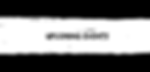 Copy of Website Banner (1).png