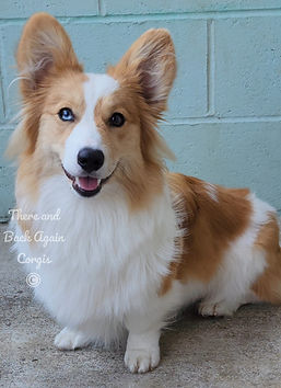 503092049_639692862449367_4942220935687686655_n (1).jpg