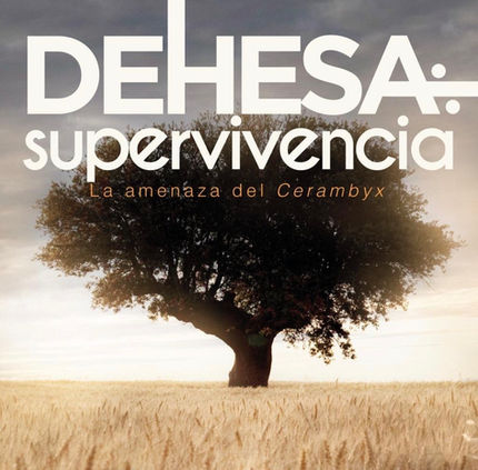 DOCUMENTAL MULTIPLATAFORMA