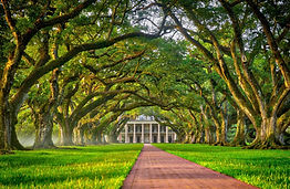Oak Alley plantation in St. James Parish, Louisiana