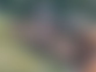 Congratulations Kinzie!