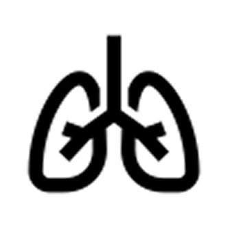 Lungs.png