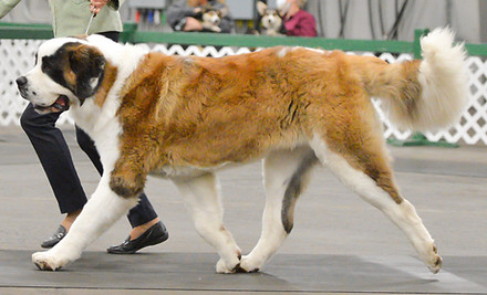 rossman BRCA Camrose Oct 2021 Sun-5289-Edit.jpg