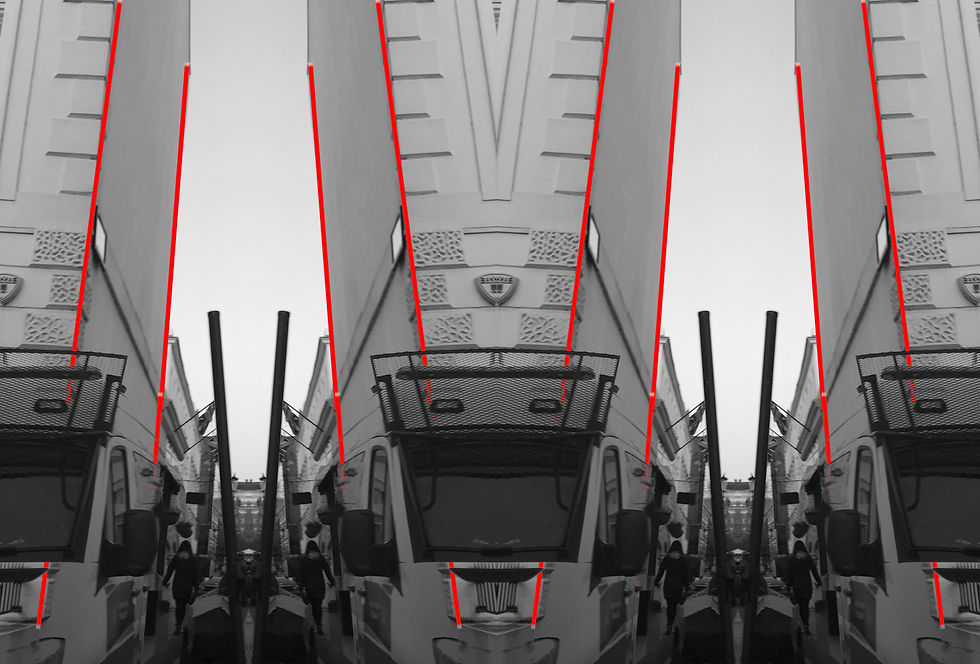 mirroring development 12