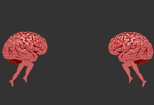 cerebros.gif