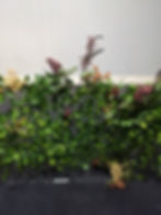 NG Floral 9