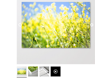 Screen Shot 2019-10-29 at 2.50.38 PM.png