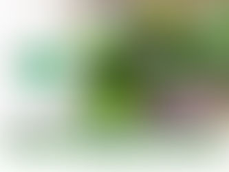 ¿Qué es la ortiga y cuales son sus beneficios para la salud?